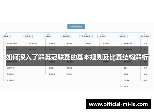 如何深入了解英冠联赛的基本规则及比赛结构解析