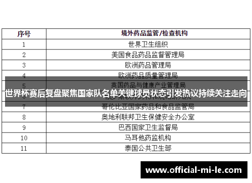 世界杯赛后复盘聚焦国家队名单关键球员状态引发热议持续关注走向 世界杯赛后复盘聚焦国家队名单关键球员状态引发热议持续关注走向